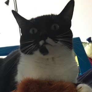 Meet your Posher, Maria